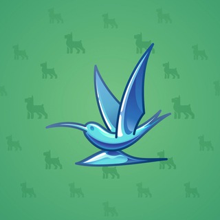 Rare Bird #9707