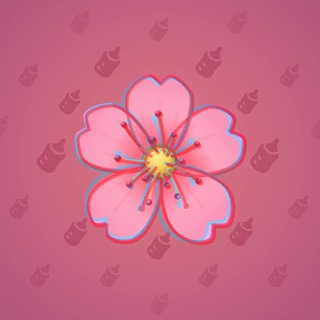 Sakura Flower #87831