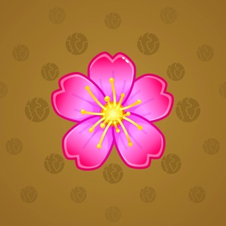 Sakura Flower #87848