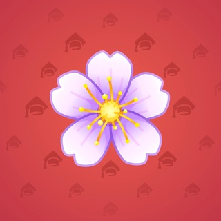 Sakura Flower #87872