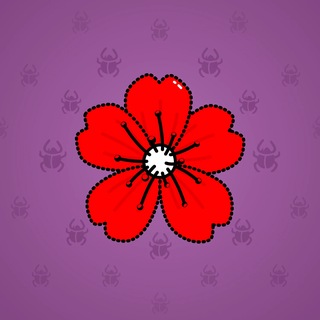 Sakura Flower #87875