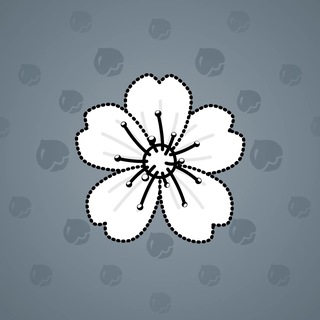 Sakura Flower #87883