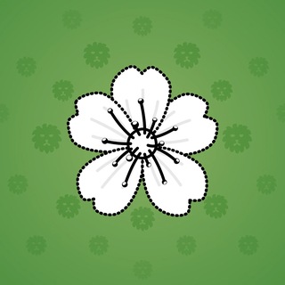 Sakura Flower #87907