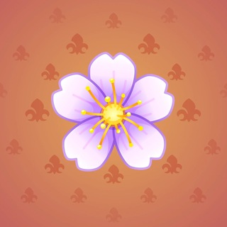 Sakura Flower #87926