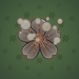 Sakura Flower