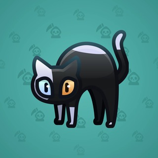 Scared Cat #19223