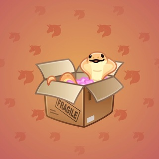 Snake Box #183052