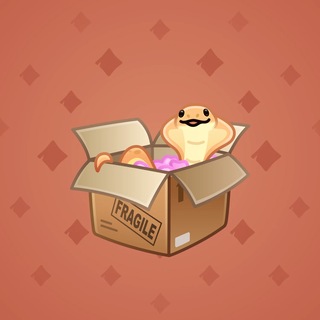 Snake Box #183063