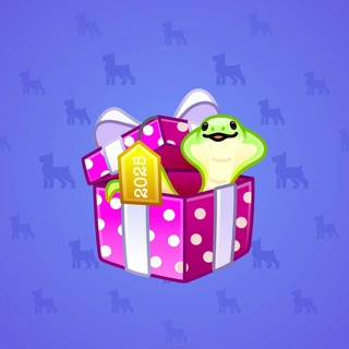 Snake Box #183071