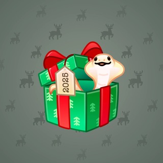 Snake Box #183231