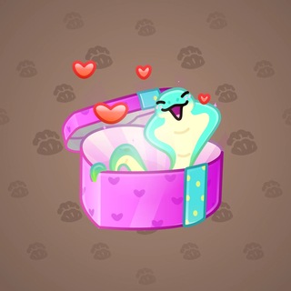 Snake Box #183571