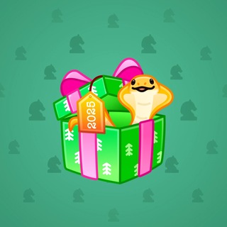 Snake Box #183602
