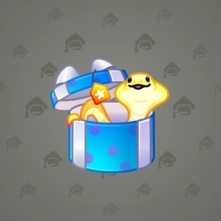 Snake Box #183612