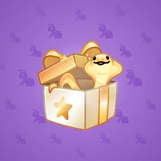Snake Box #183663