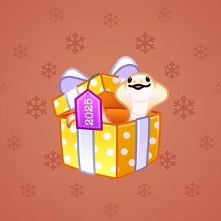 Snake Box #183665