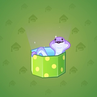 Snake Box #183675