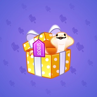 Snake Box #183730