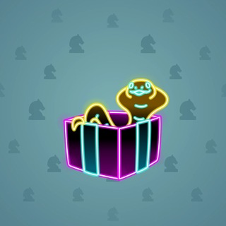 Snake Box #183743