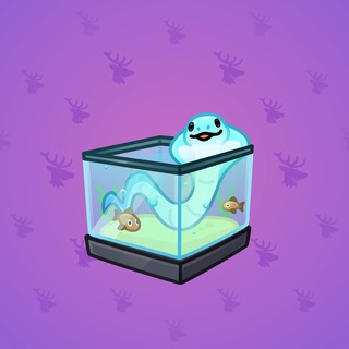 Snake Box #183815