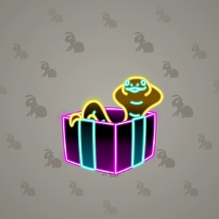 Snake Box #183842