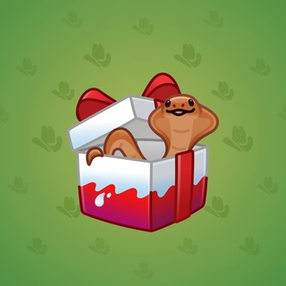 Snake Box #183938