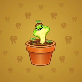 Snake Box #183968