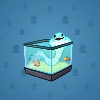Snake Box #184046