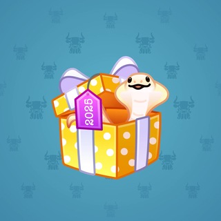 Snake Box #184047
