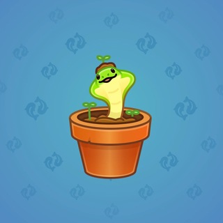 Snake Box #184056