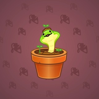 Snake Box #184063