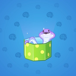 Snake Box #184071