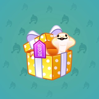 Snake Box #184081
