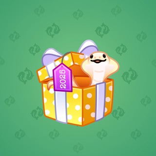 Snake Box #184090