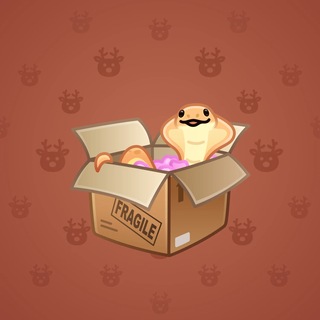 Snake Box #184168