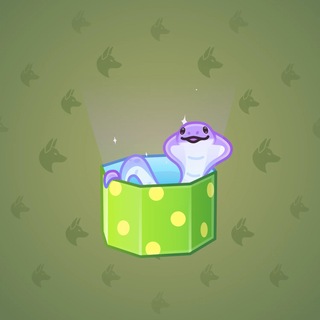 Snake Box #184174