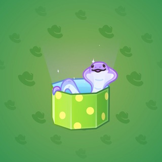 Snake Box #184245