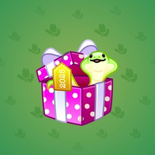 Snake Box #184326