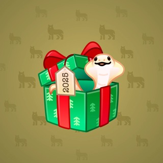 Snake Box #184340