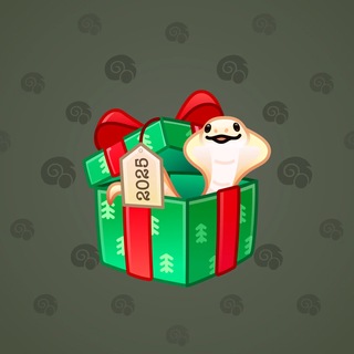 Snake Box #184345