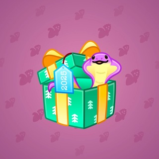 Snake Box #184361