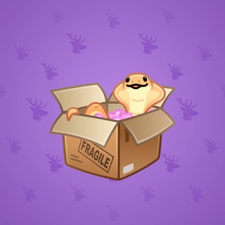 Snake Box #184372