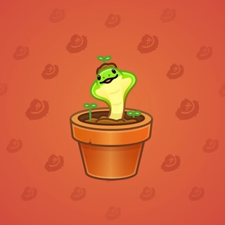 Snake Box #184574