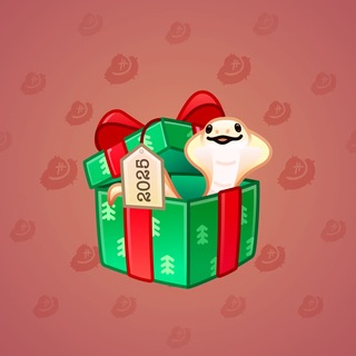 Snake Box #184580
