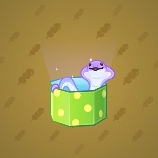 Snake Box #184584