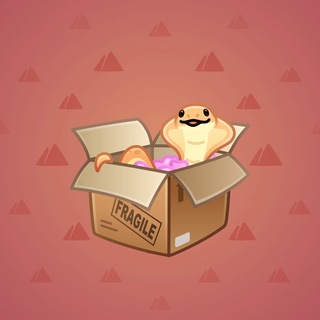Snake Box #184735