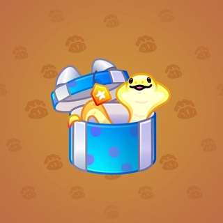Snake Box #184797