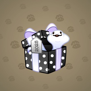 Snake Box #184804