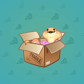 Snake Box #184816