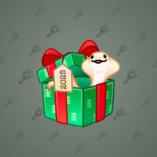 Snake Box #184818