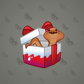 Snake Box #184896